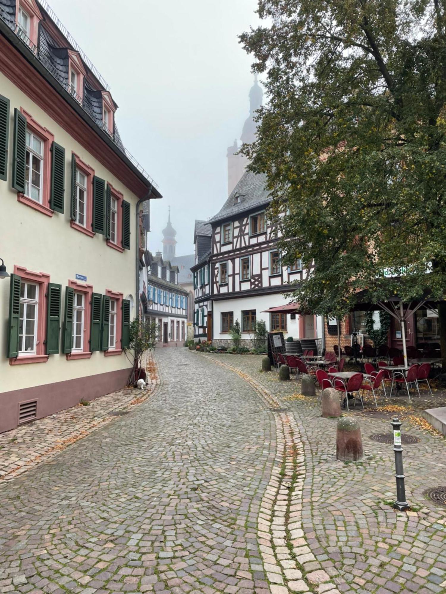 Alta - Appartement Eltville am Rhein